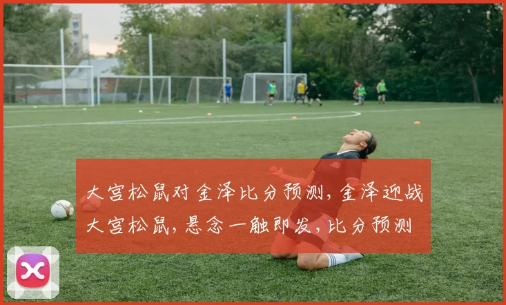 大宫松鼠对金泽比分预测,金泽迎战大宫松鼠,悬念一触即发,比分预测揭晓